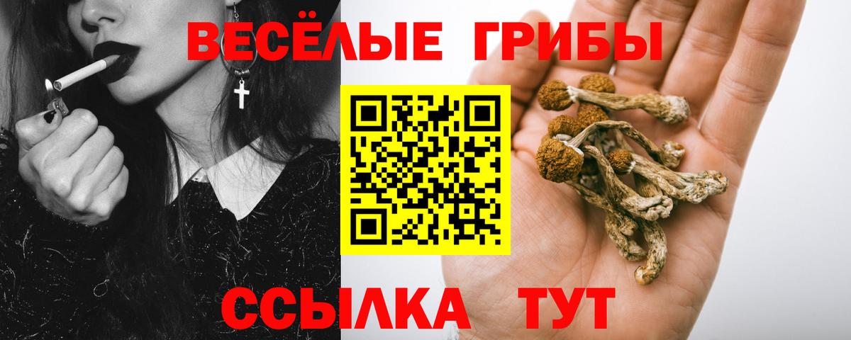 Октябрьский  Псилоцибиновые грибы мицелий  Вход с VPN 