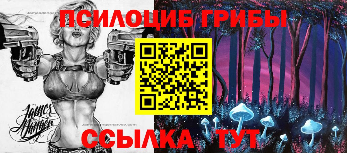 Галлюциногенные грибы GOLDEN TEACHER Октябрьский